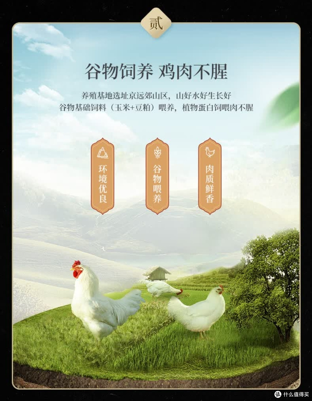 早餐快手神器!华都食品奥尔良腿排,空气炸锅10分钟搞定美味