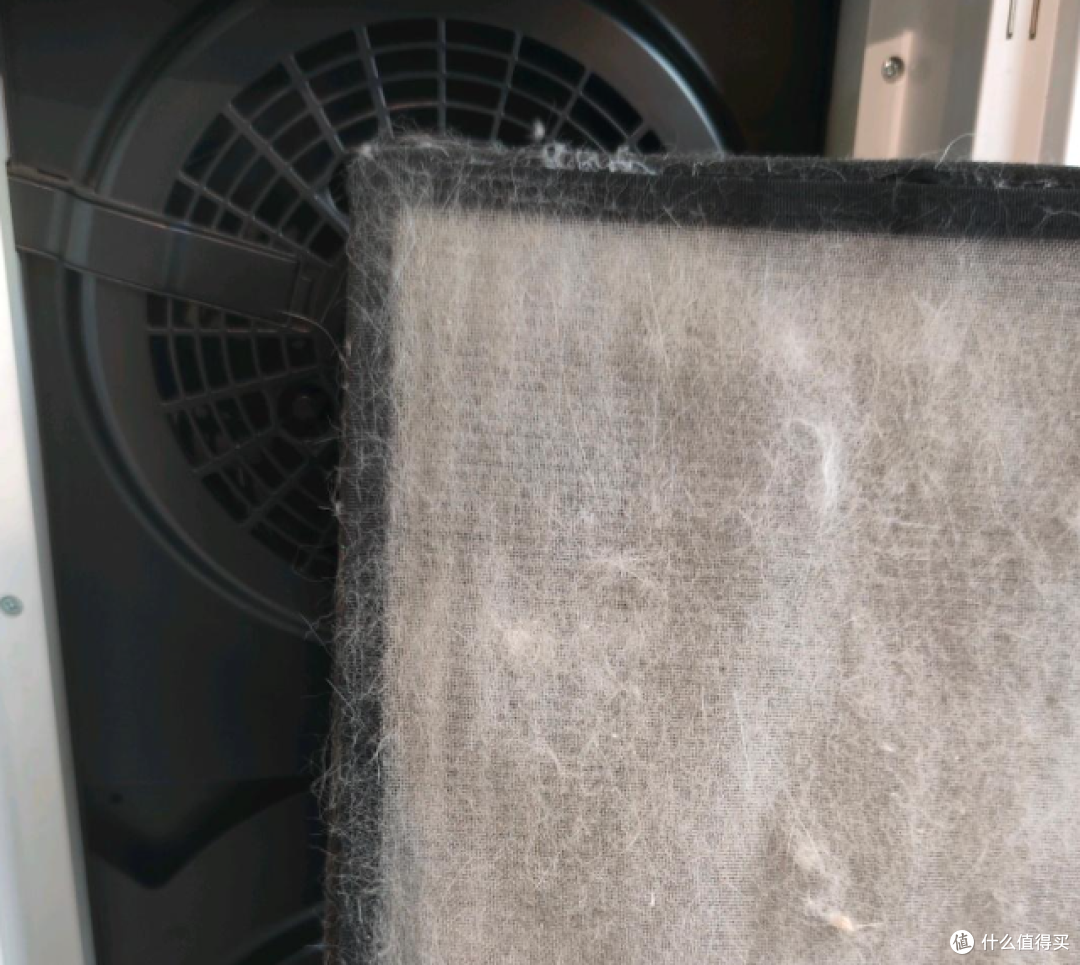 哪款空气净化器,让你在宠物换毛季也能放心深呼吸?