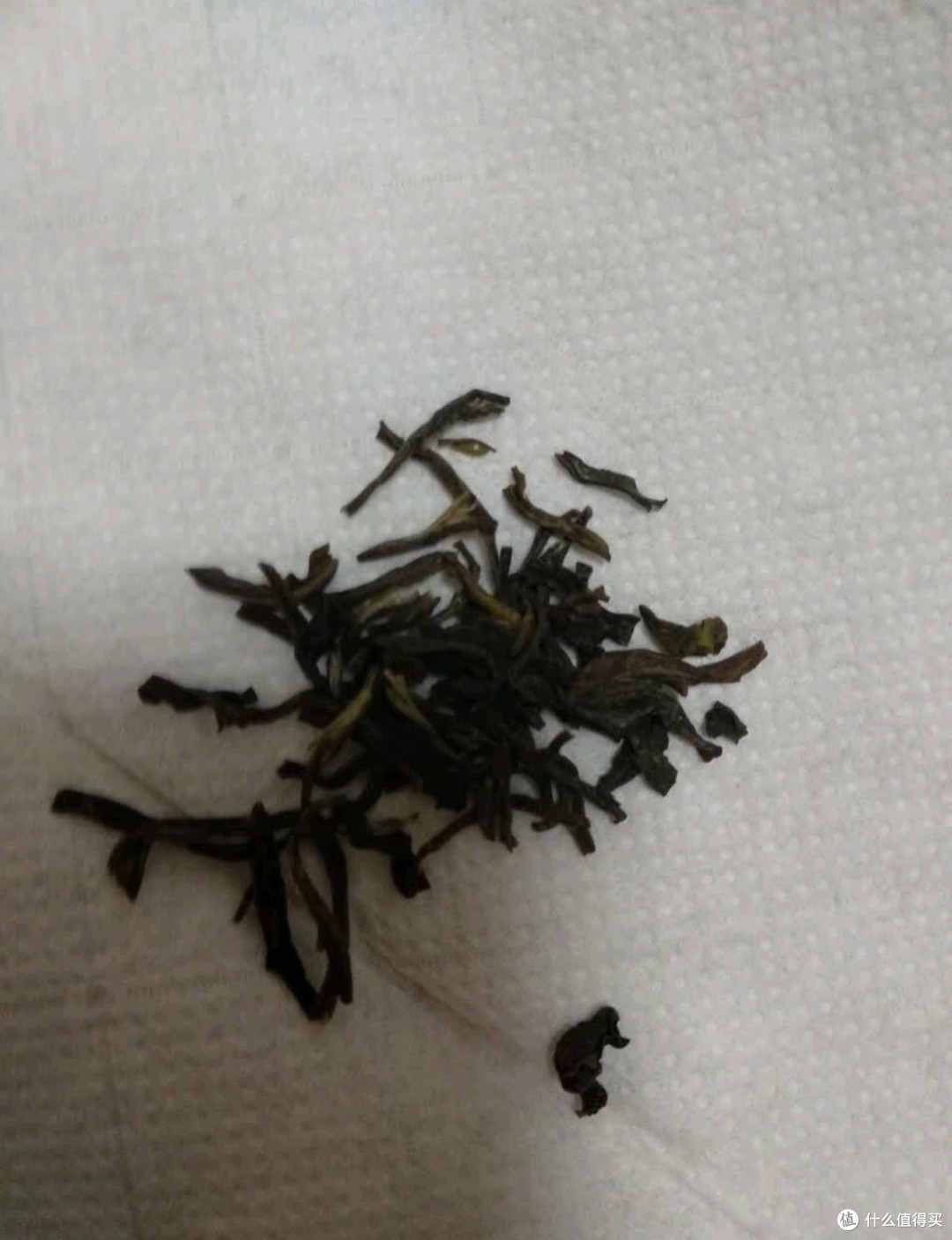 京华小龙王特级茉莉花茶:一口沦陷的口粮茶,自饮首选不踩雷