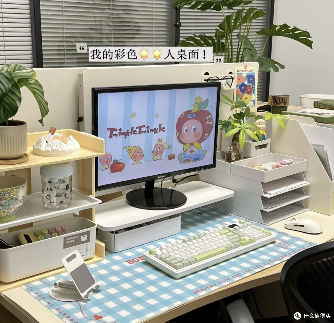 蓝绿撞色办公桌面布置