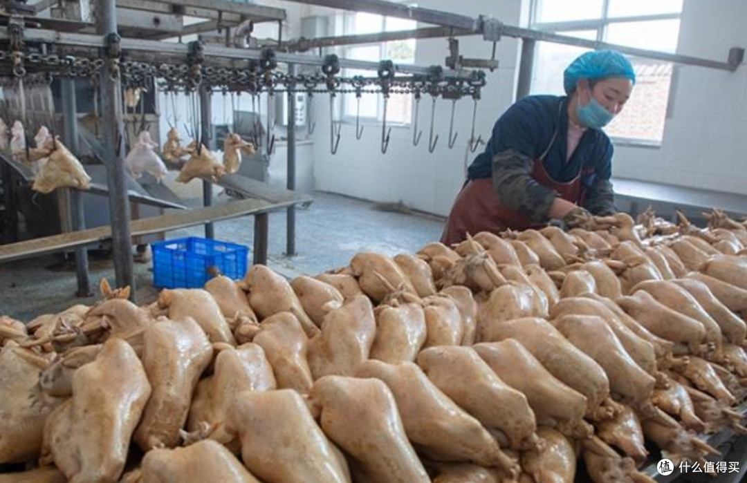 滑县道口烧鸡:一口软烂脱骨,藏着几代人的家乡味