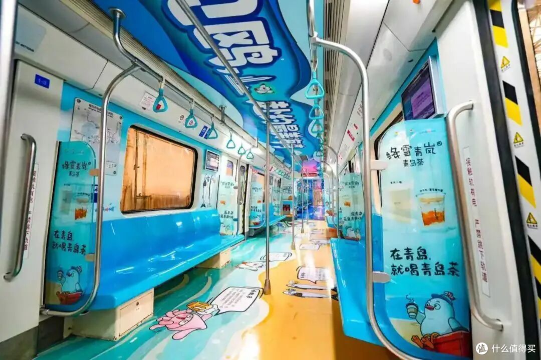 这个冬天,来青岛喂海鸥吧!人均0元解锁喂鸥攻略,治愈整个冬天
