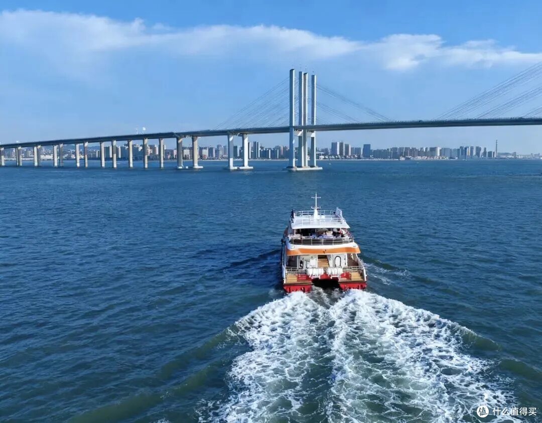 这个冬天,来青岛喂海鸥吧!人均0元解锁喂鸥攻略,治愈整个冬天