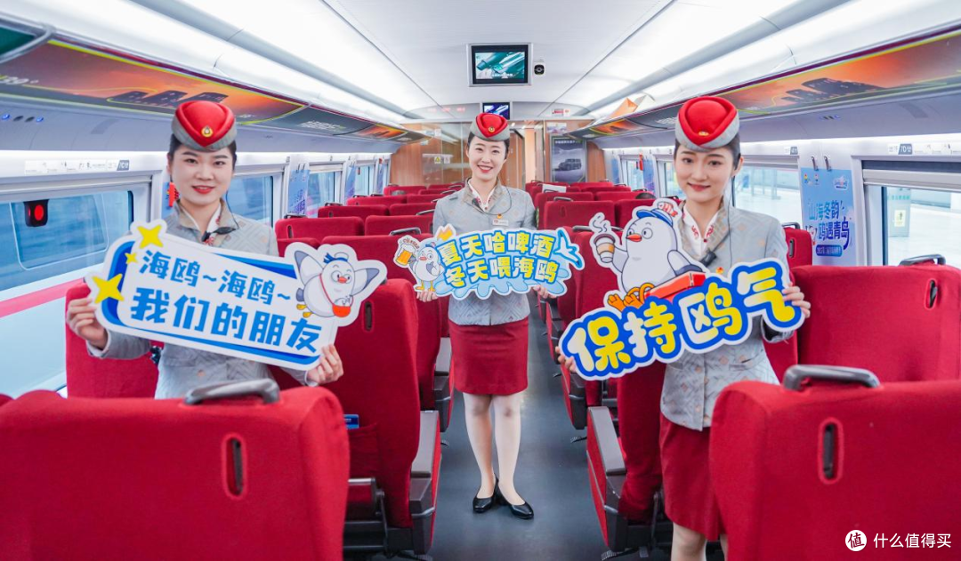 这个冬天,来青岛喂海鸥吧!人均0元解锁喂鸥攻略,治愈整个冬天