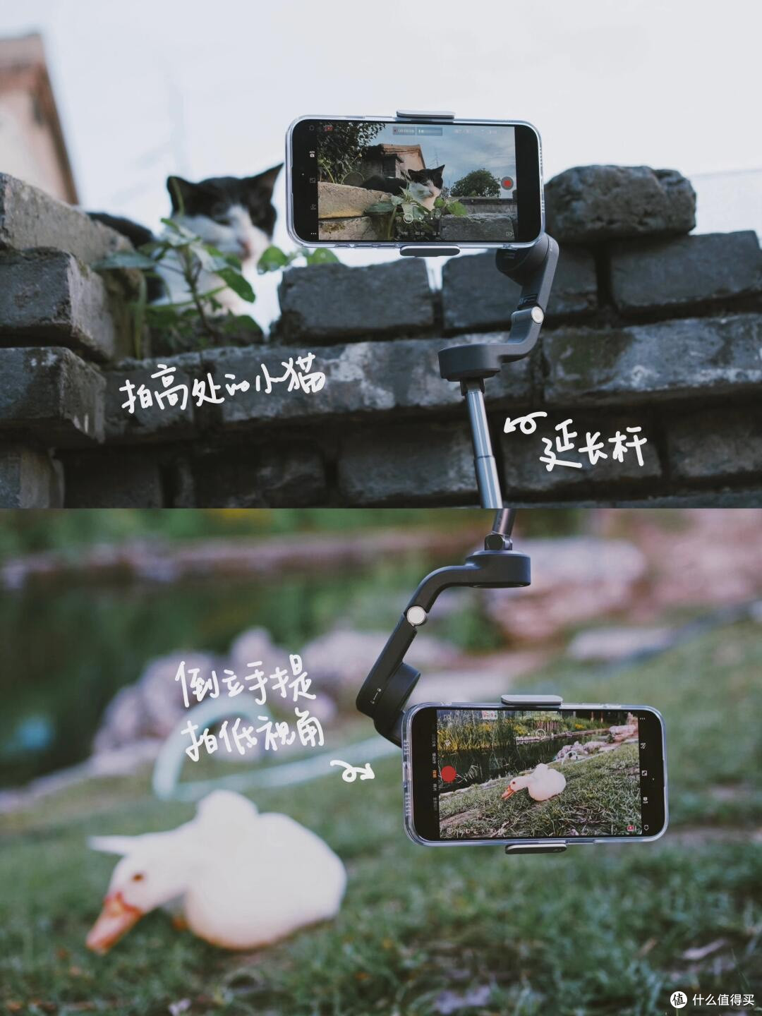 手机稳定器助力懒人拍摄