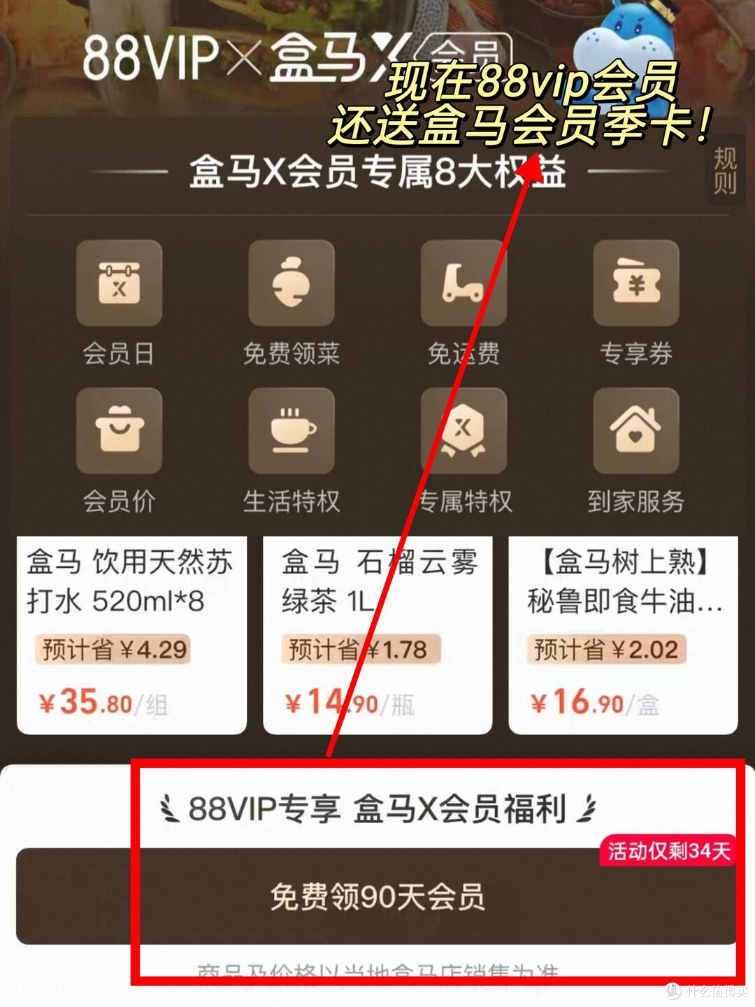 88vip回本指南