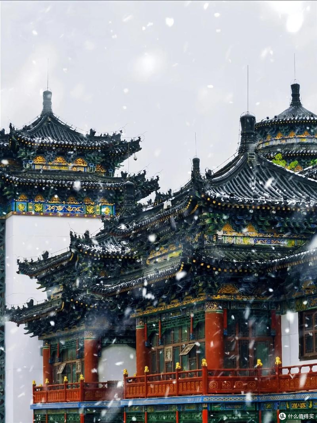 元旦赴长安,我在西安赴一场盛唐之约