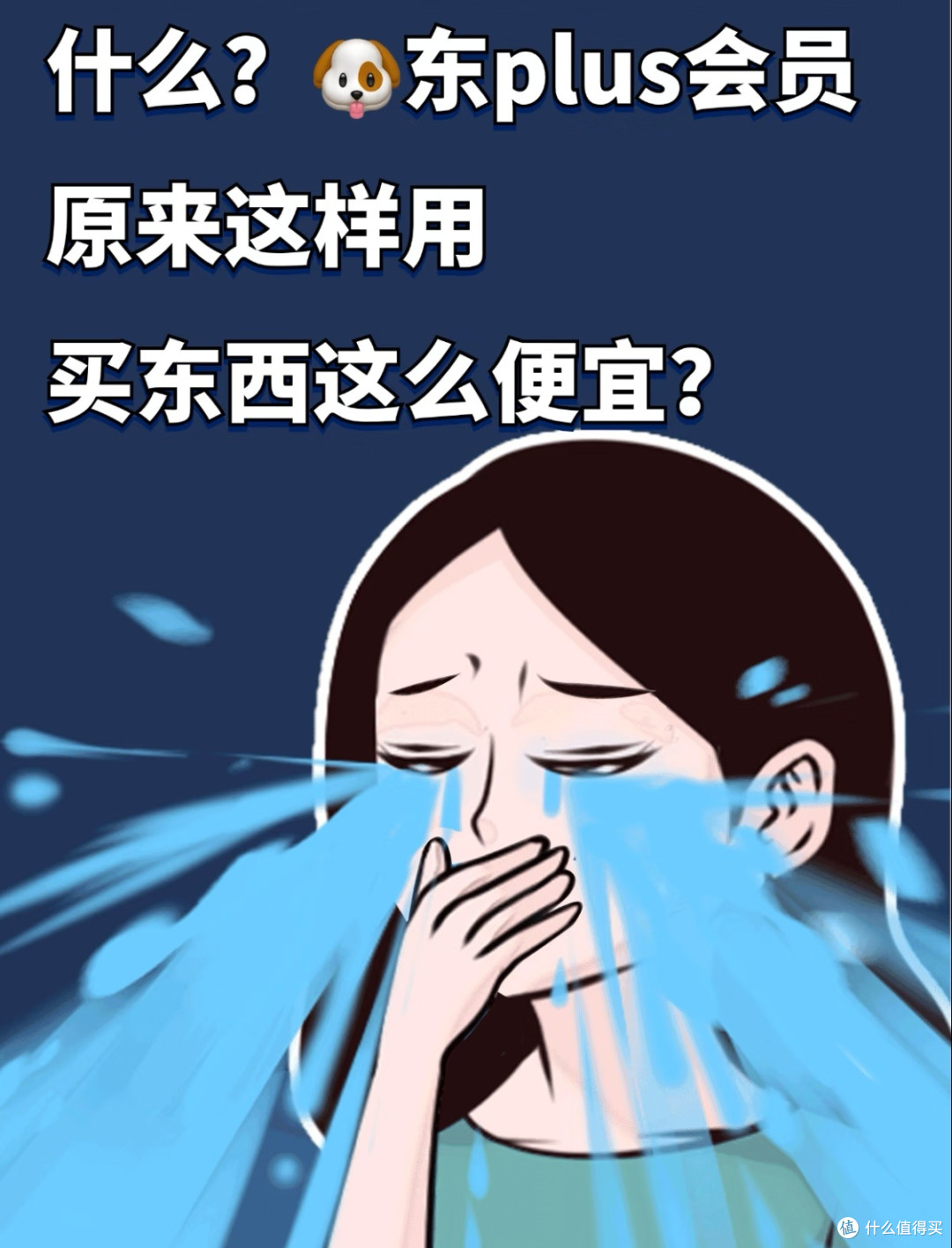 电商会员划算回本攻略,把权益用出双倍价值