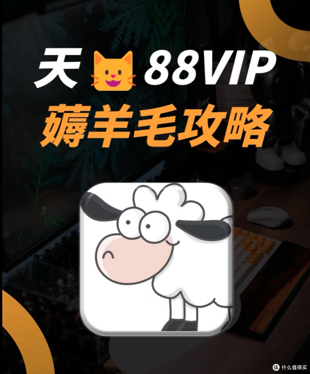 电商会员划算回本攻略,把权益用出双倍价值