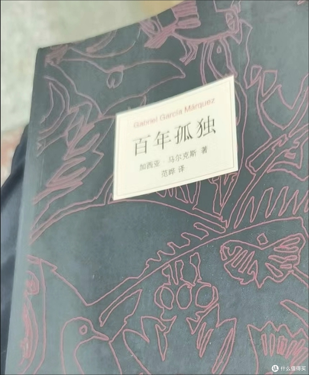 布恩迪亚家族的兴衰与孤独