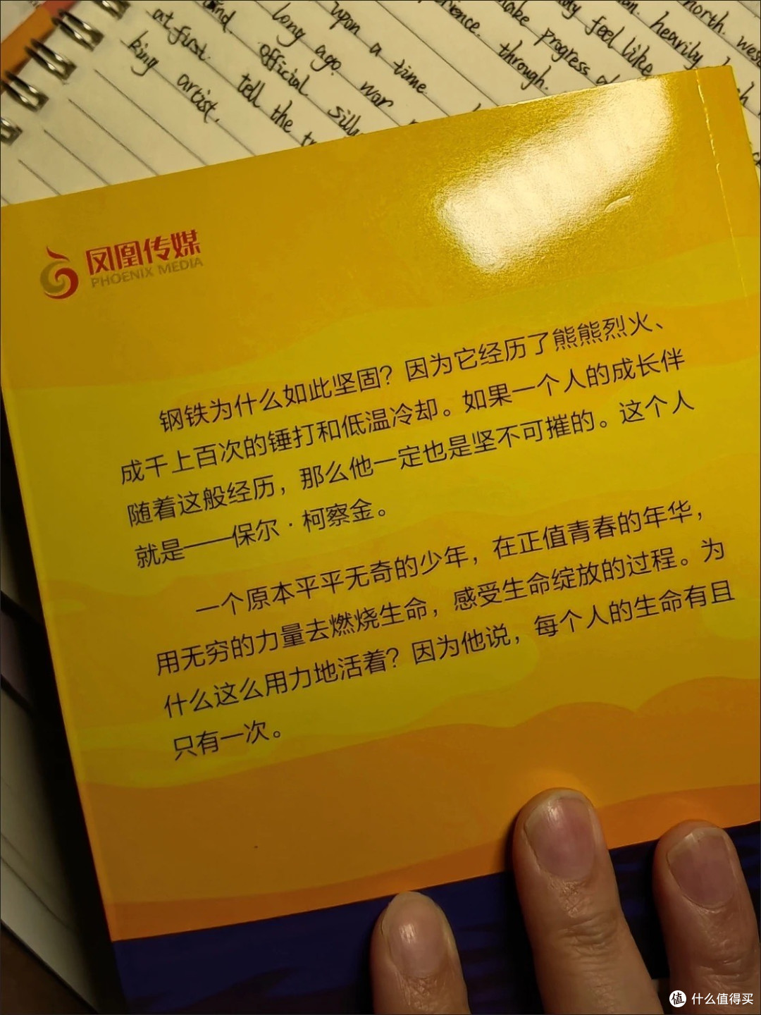 钢铁是怎样炼成的:保尔的成长之路