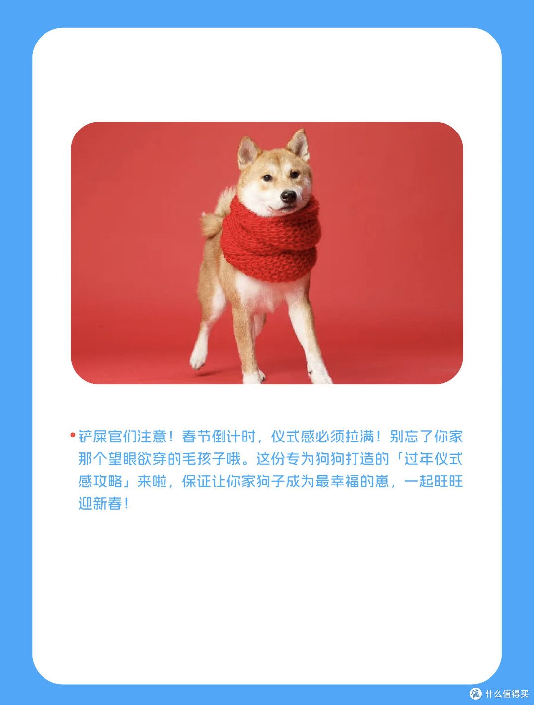 与狗狗一起跨年啦~跨年夜的仪式感