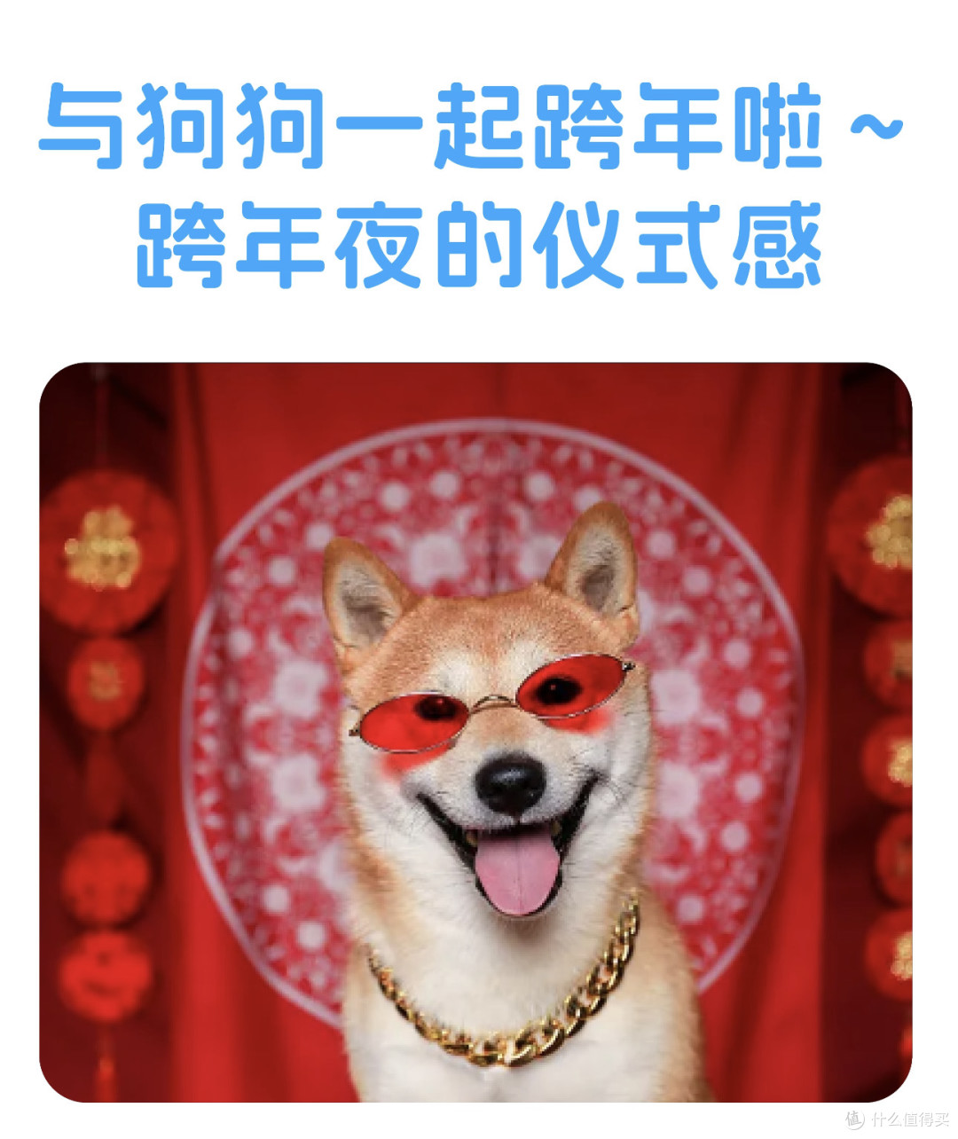 与狗狗一起跨年啦~跨年夜的仪式感