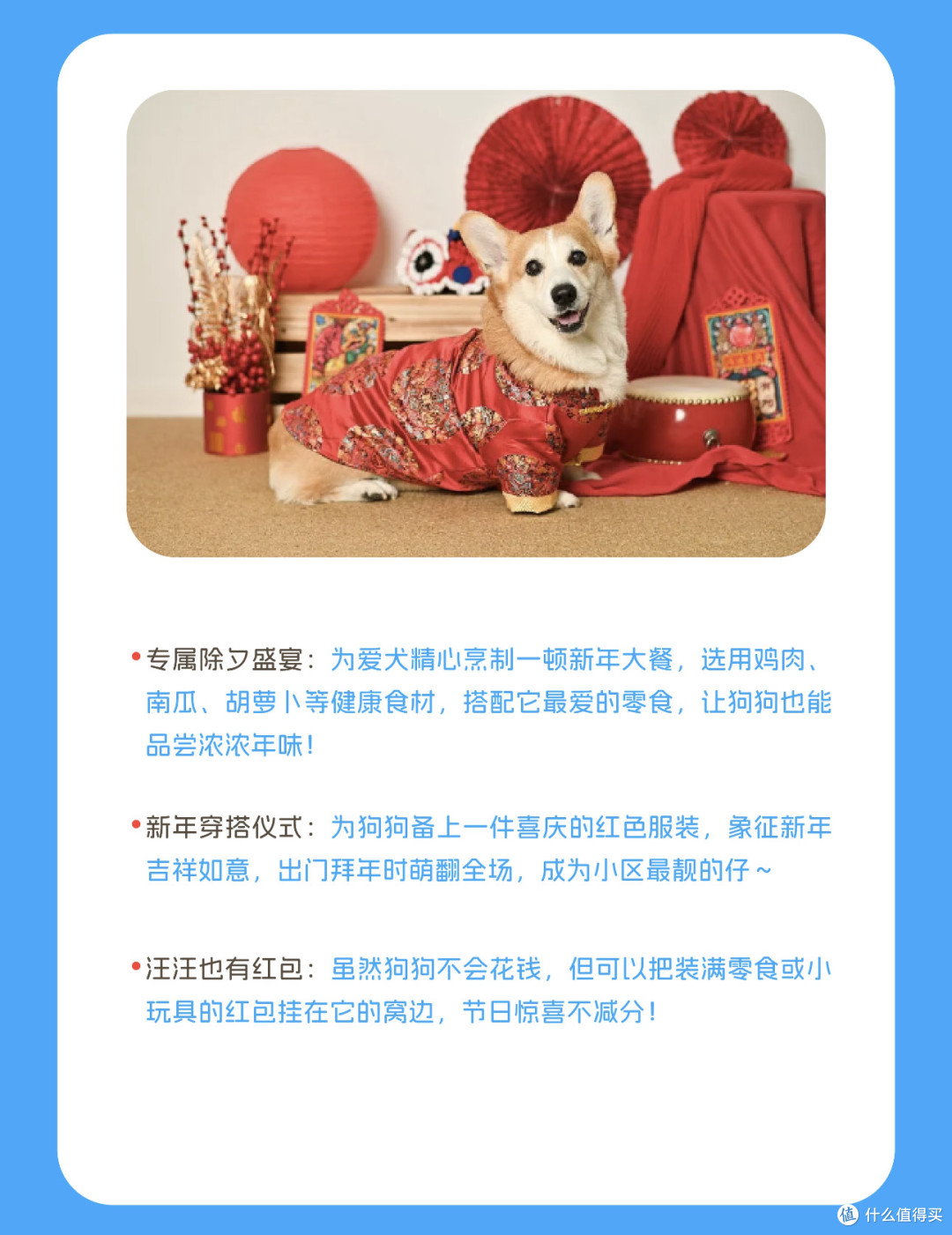 与狗狗一起跨年啦~跨年夜的仪式感
