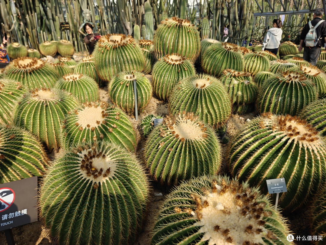 深圳仙湖植物园:多功能植物园