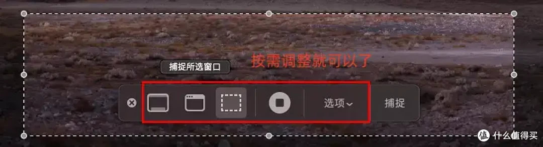 电脑怎么录制视频?7种方法,2025最新