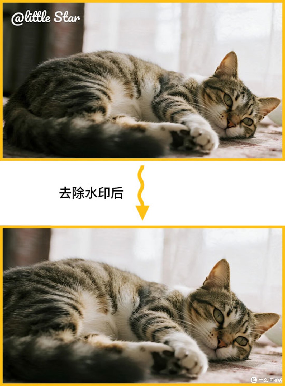 视频去除水印怎么弄?10大视频去水印工具测评