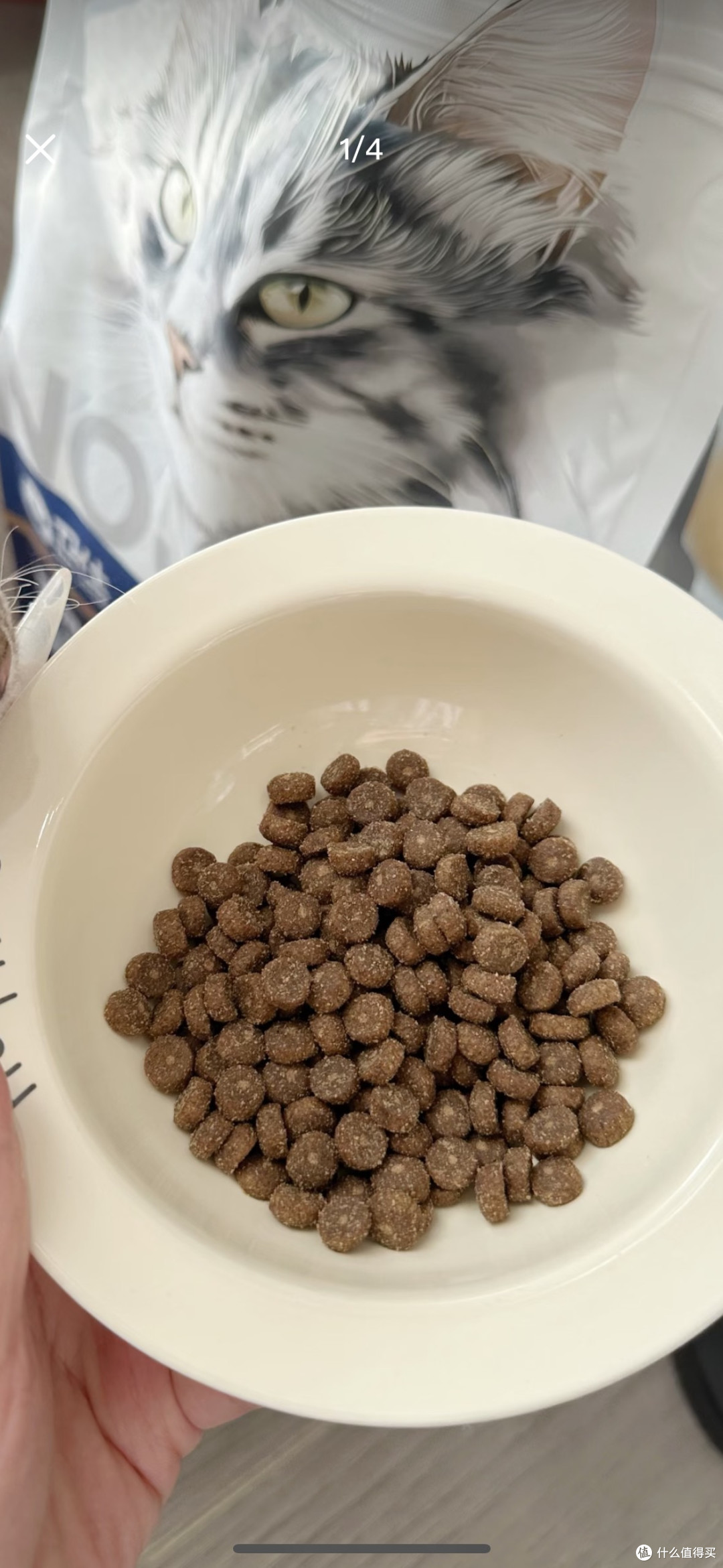 皇家猫粮：室内幼猫的理想选择