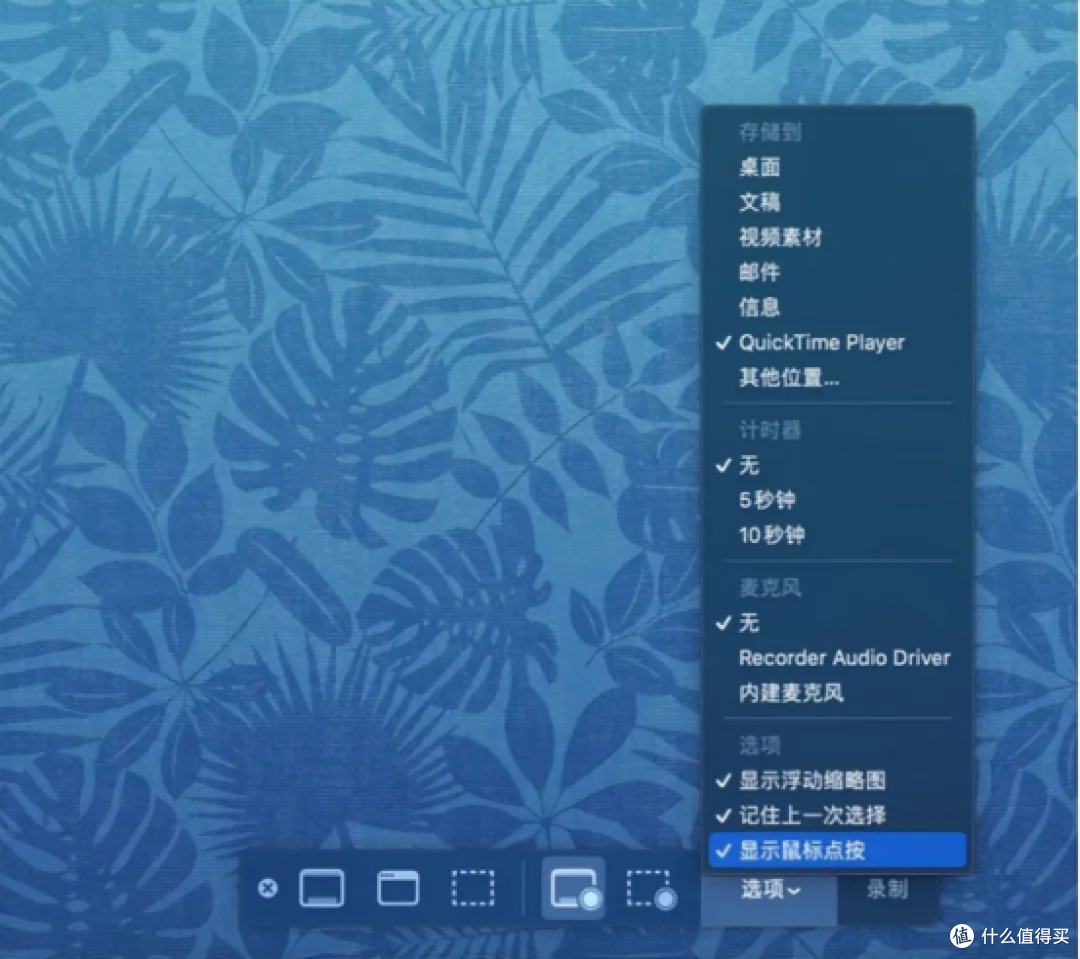 2025年电脑录屏全攻略,10款录屏工具助你成为录屏高手!