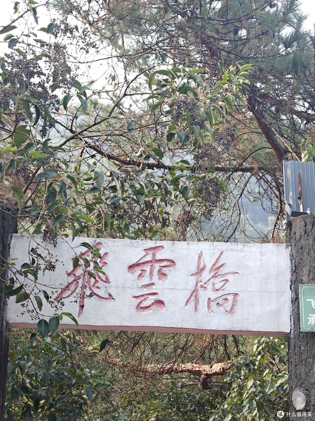 歌乐山森林公园游记