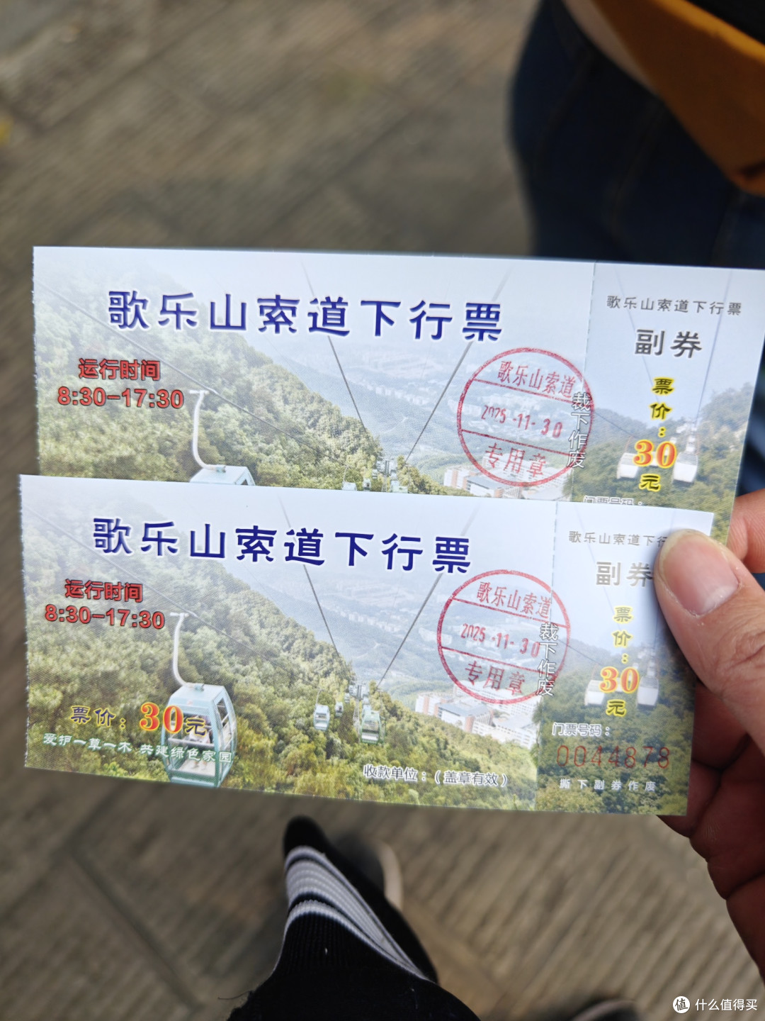 歌乐山森林公园游记