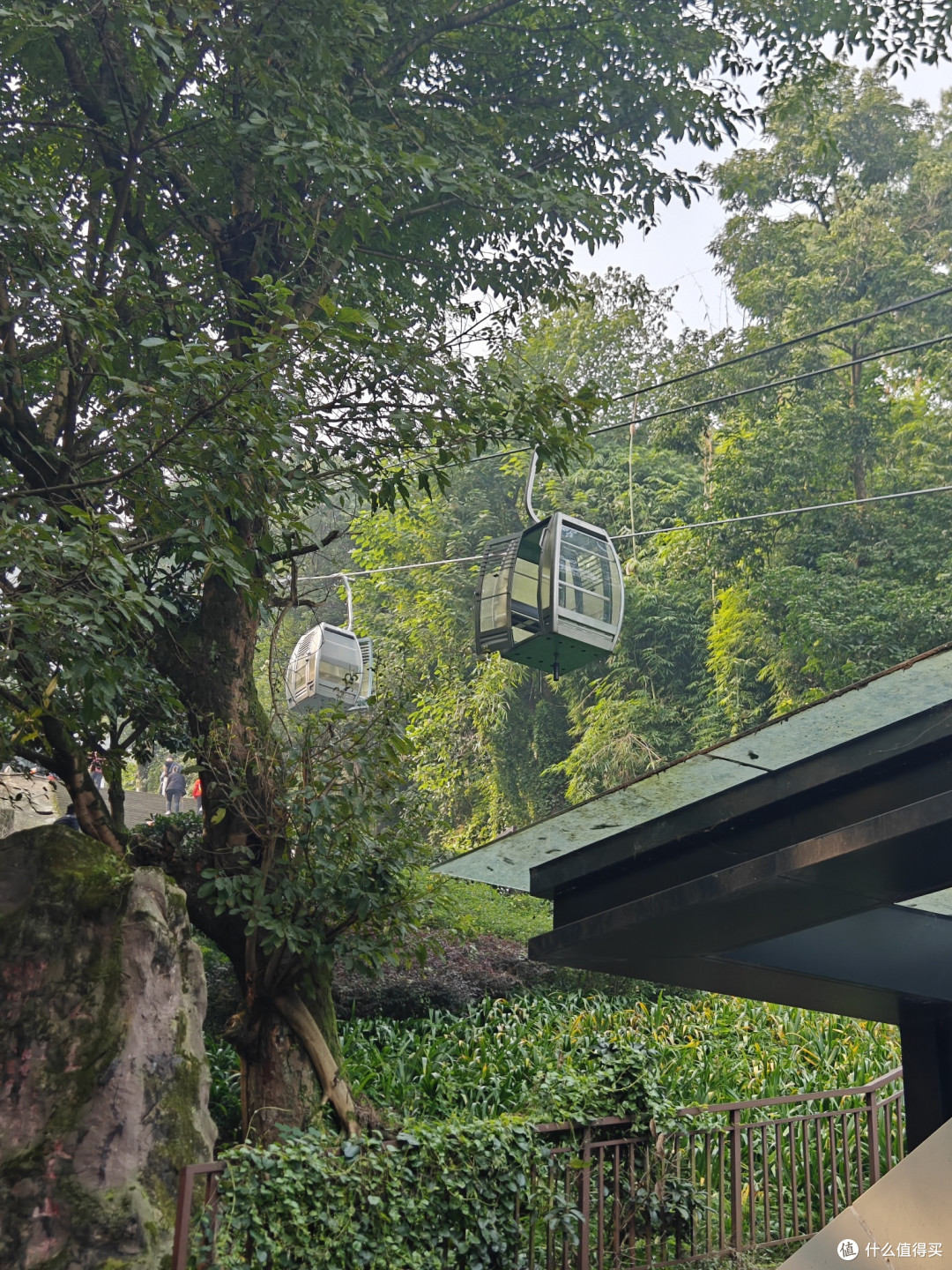 歌乐山森林公园游记