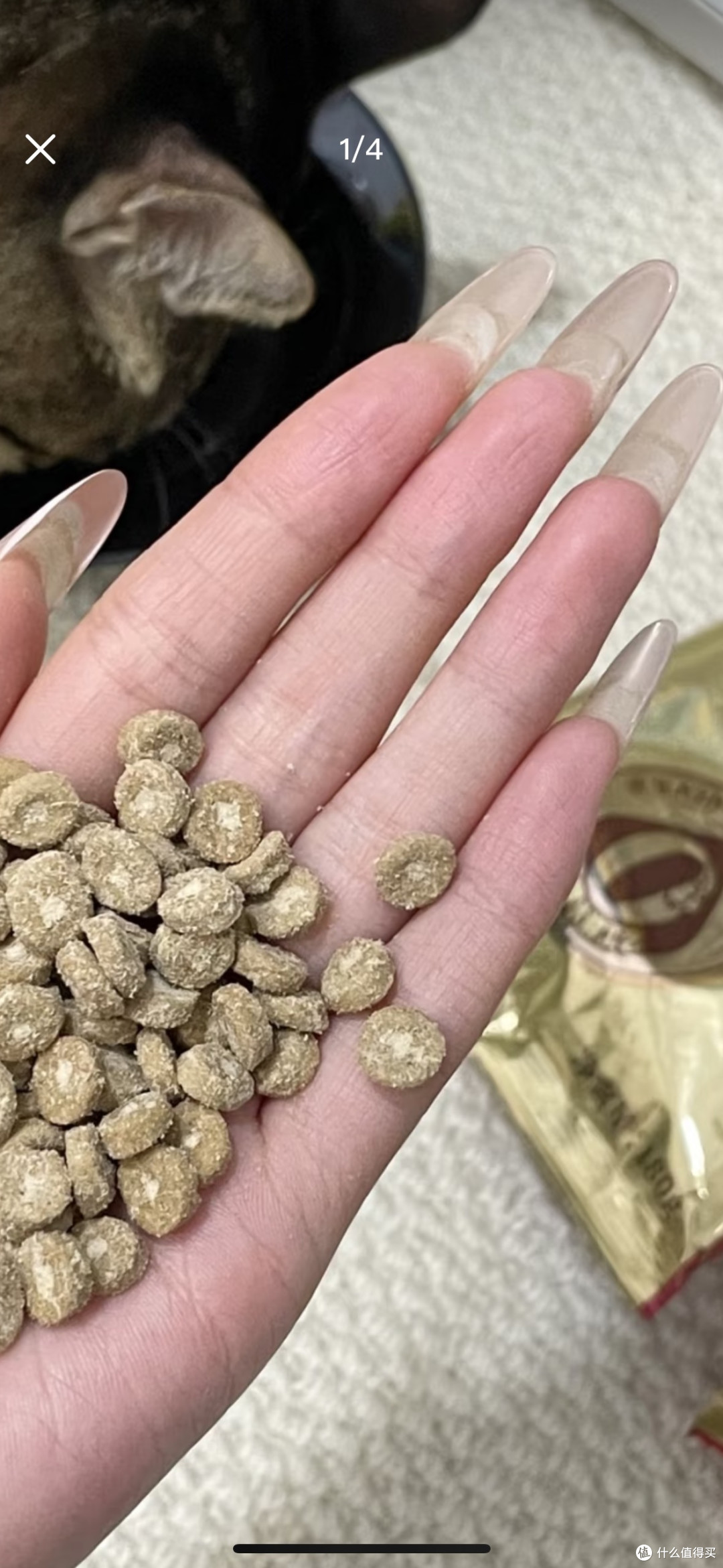 如何挑选适合猫咪的优质猫粮