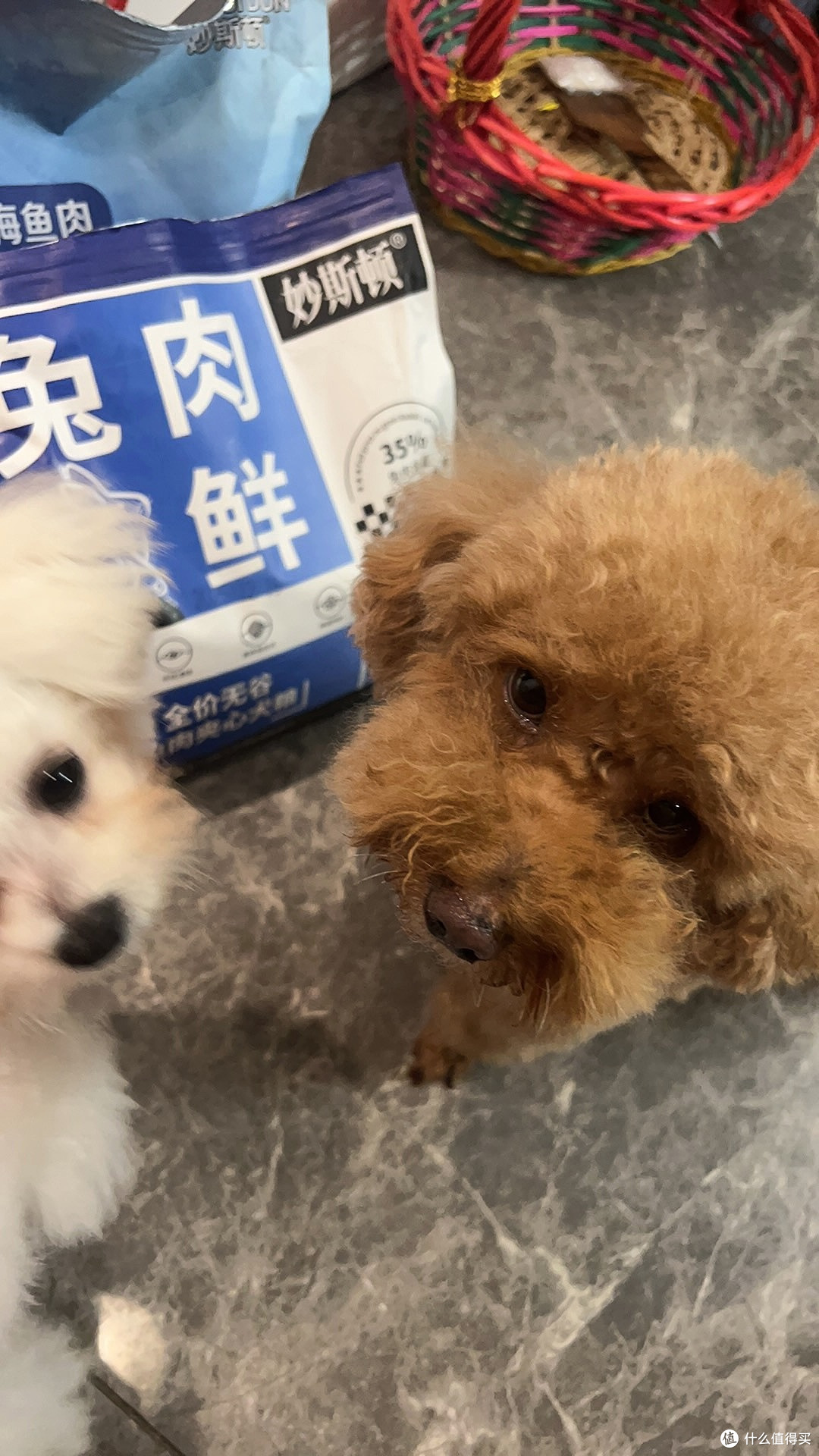 养宠一年小结,狗狗营养新选择,终于买到兔肉夹心狗粮