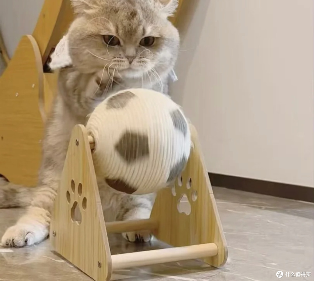 足球猫爪：双旦仪式感与磨爪解压