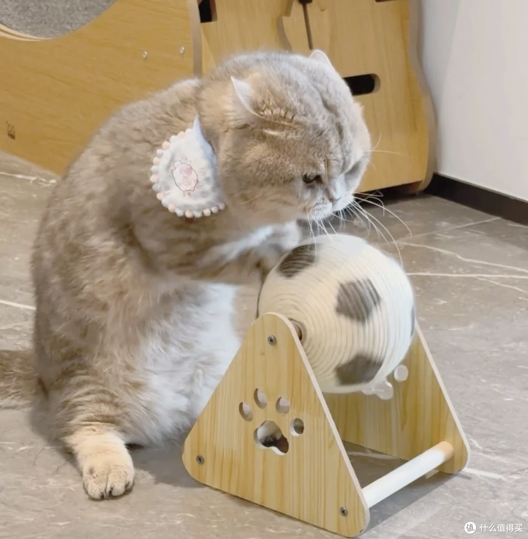 足球猫爪：双旦仪式感与磨爪解压