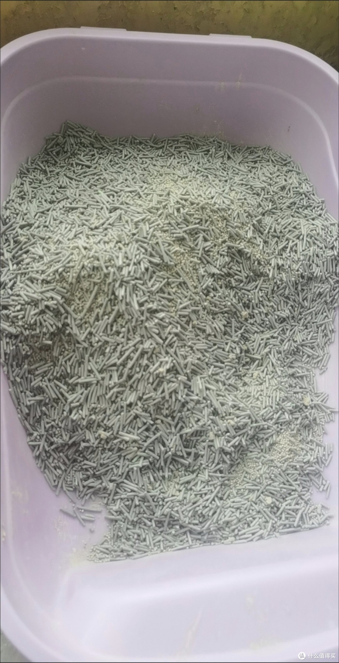 养猫一年小结:猫砂开销里藏着的铲屎官日常