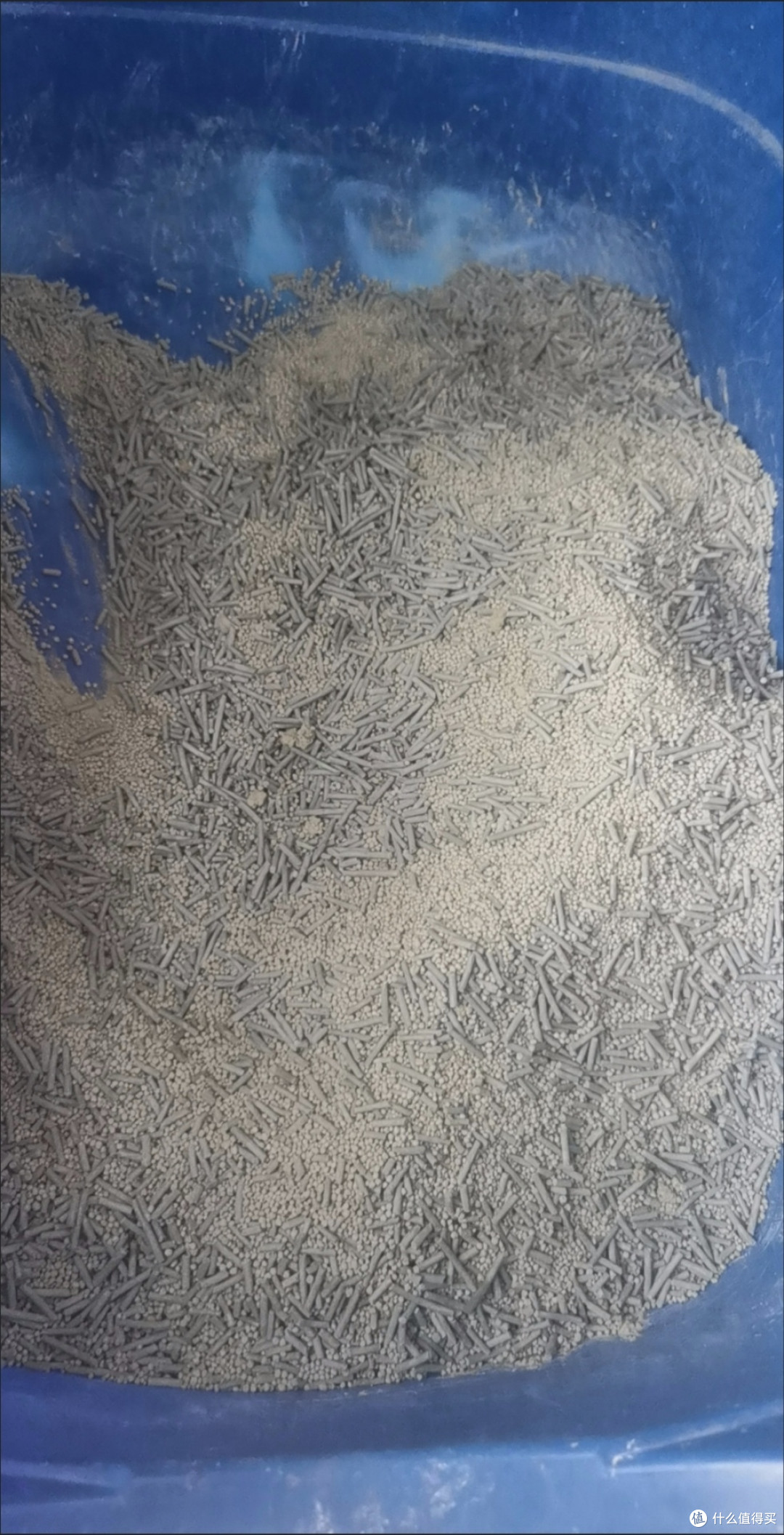 养猫一年小结:猫砂开销里藏着的铲屎官日常