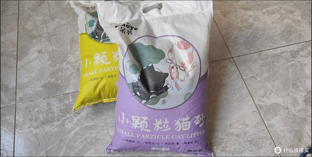 养猫一年小结：猫砂开销里藏着的铲屎官日常