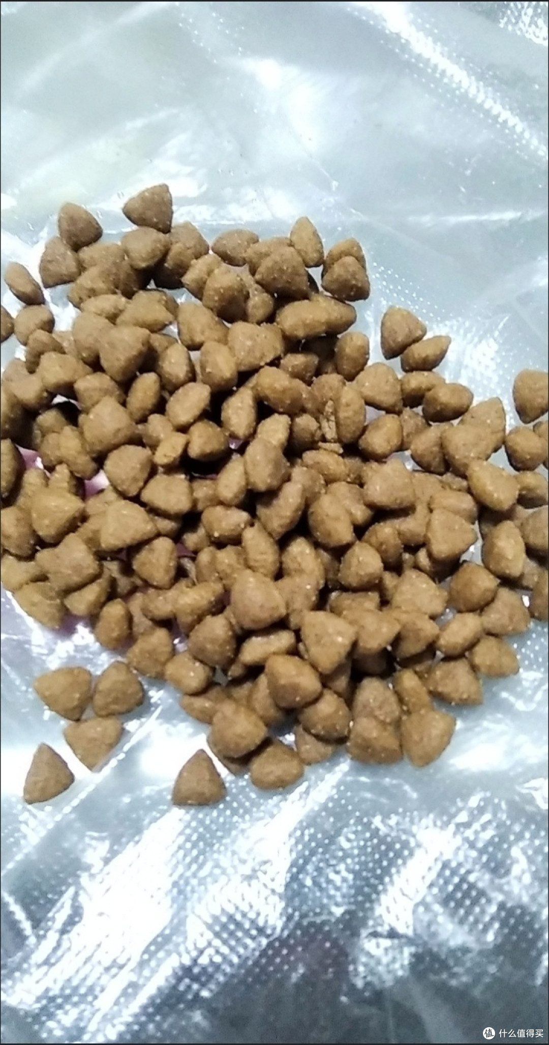 养狗一年小结:每周一袋狗粮里的陪伴时光