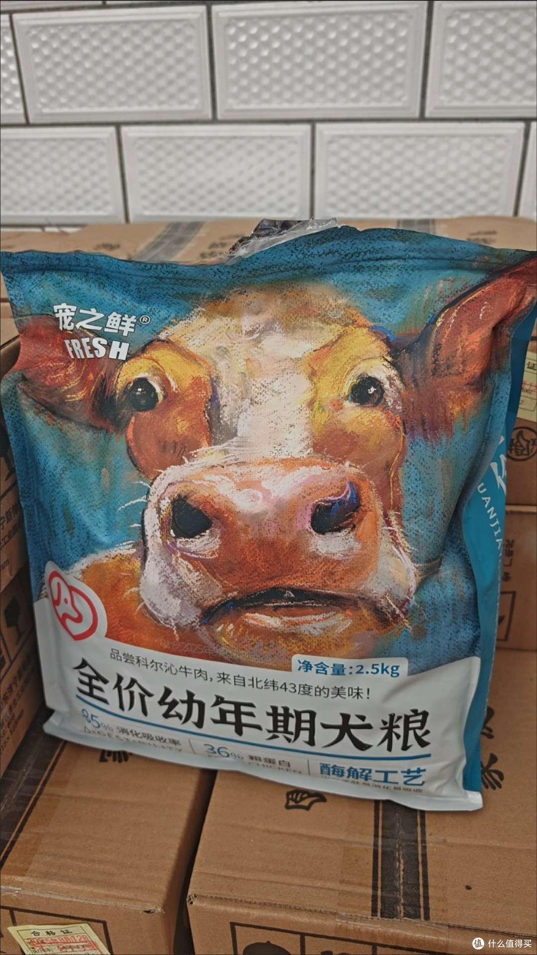 养狗一年小结：每周一袋狗粮里的陪伴时光