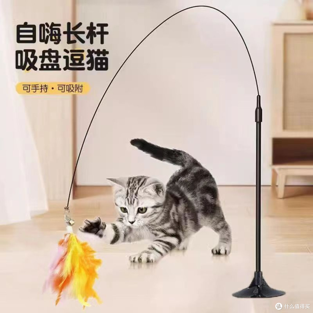 养喵一年小结:月入一件玩具,解锁毛孩子的快乐密码