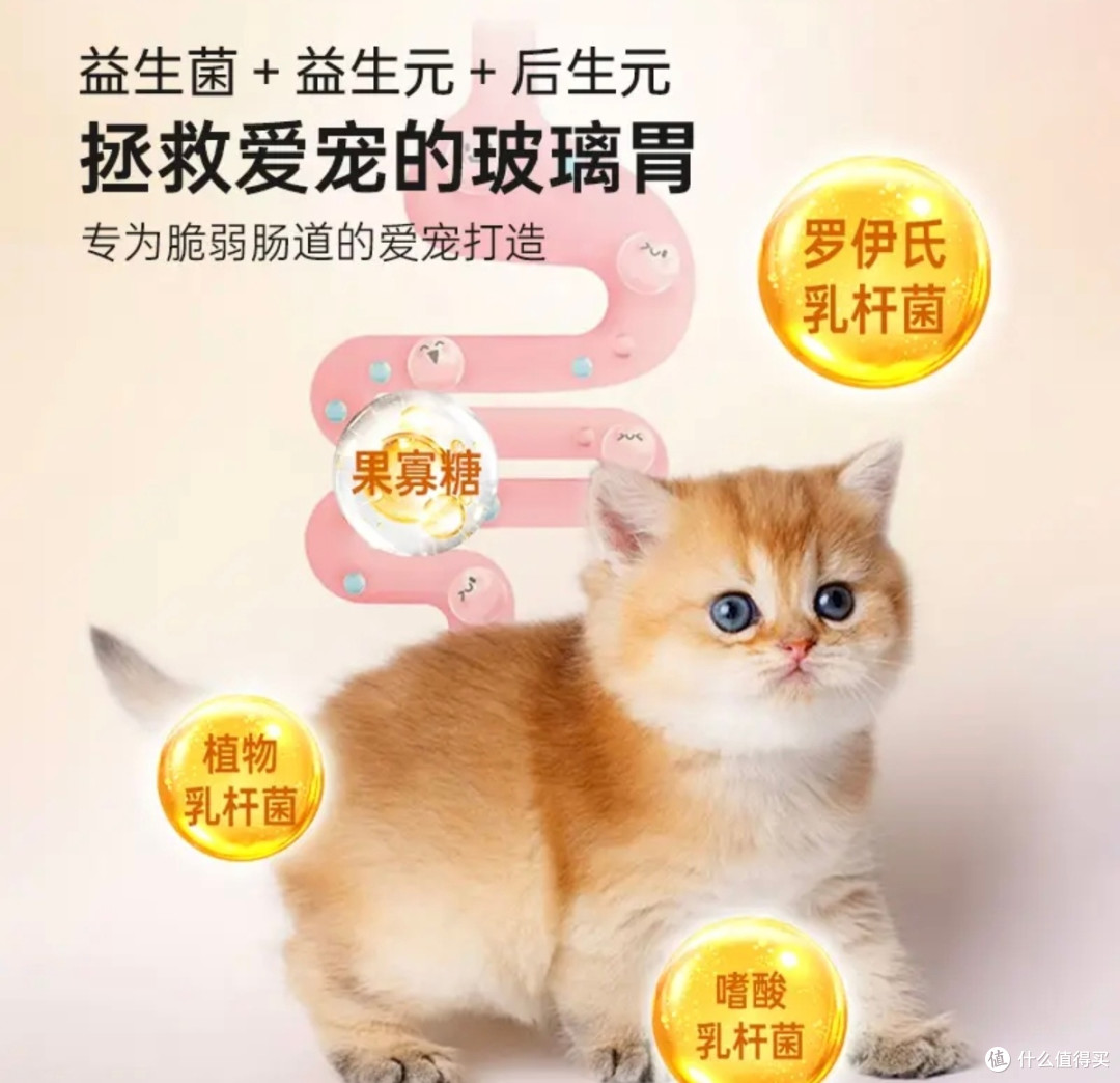 双旦必备!强生宠儿羊奶粉,喂出结实小毛孩
