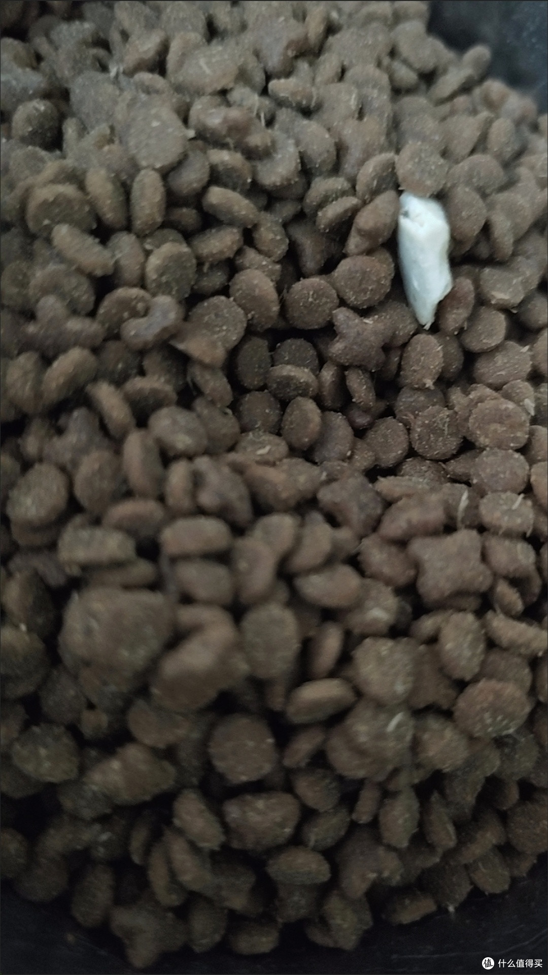 阿飞和巴弟E70猫粮营养丰富