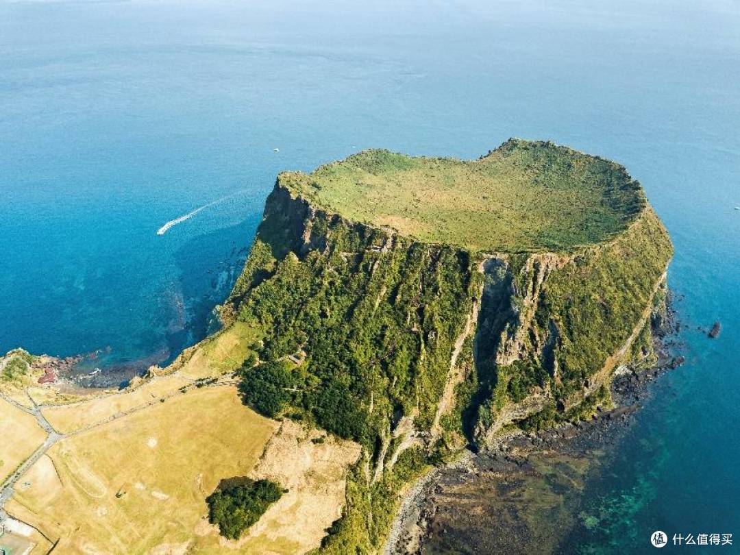 MSC地中海邮轮庆在华二十周年,焕新首推珍珠奶茶、AI管家
