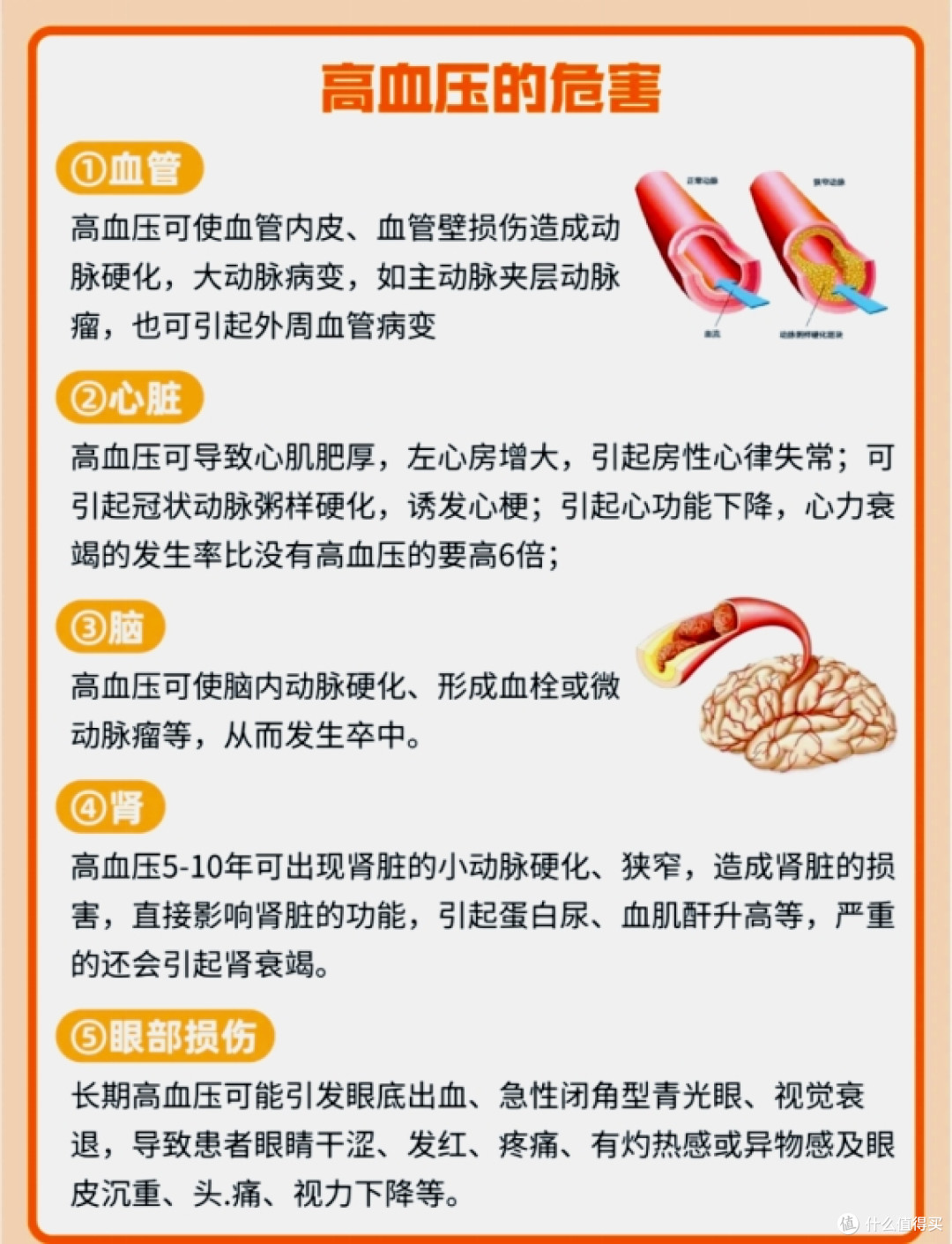 血压计哪种好家庭用?品牌款实测揭秘,家用首选结果出炉