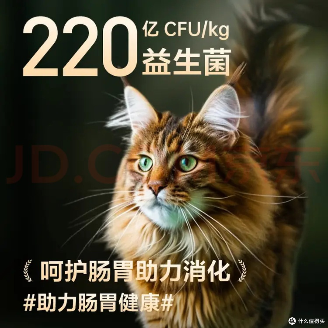 大鹅红枣猫粮:营养适配与平衡