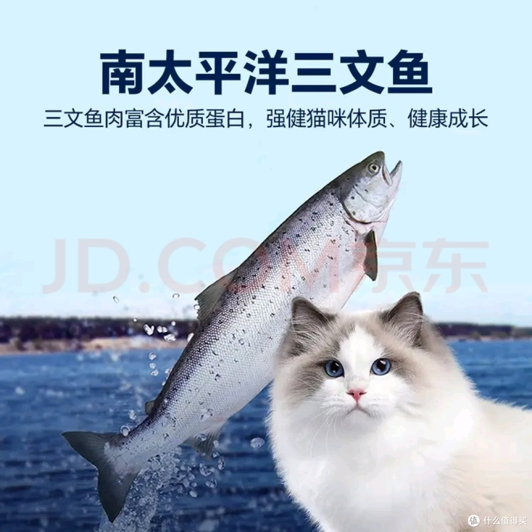 比瑞吉猫粮爱不将就藻鱼儿全价成猫粮10KG 含三文鱼螺旋藻原料