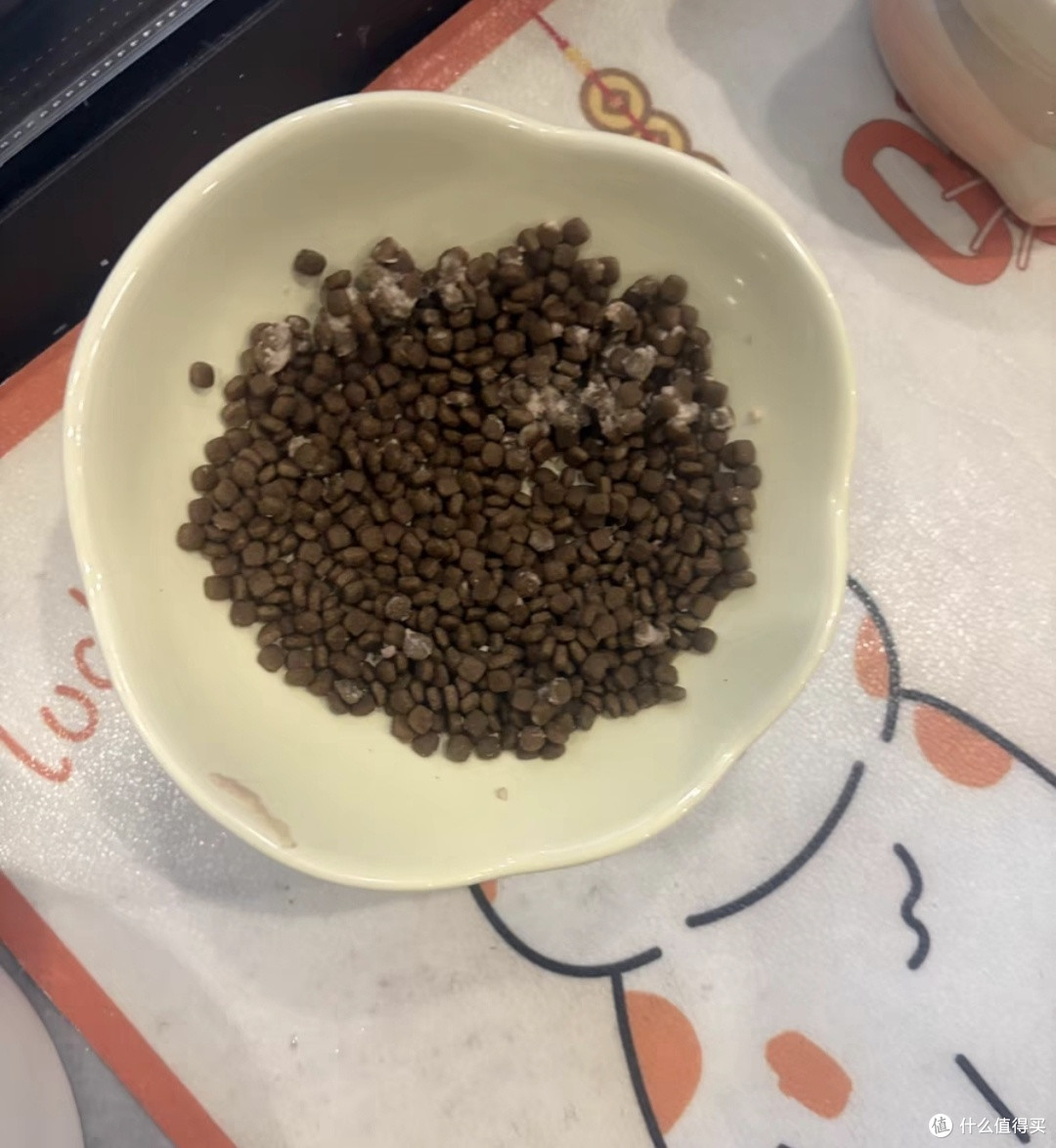 宠物融入生活,增添温暖与责任