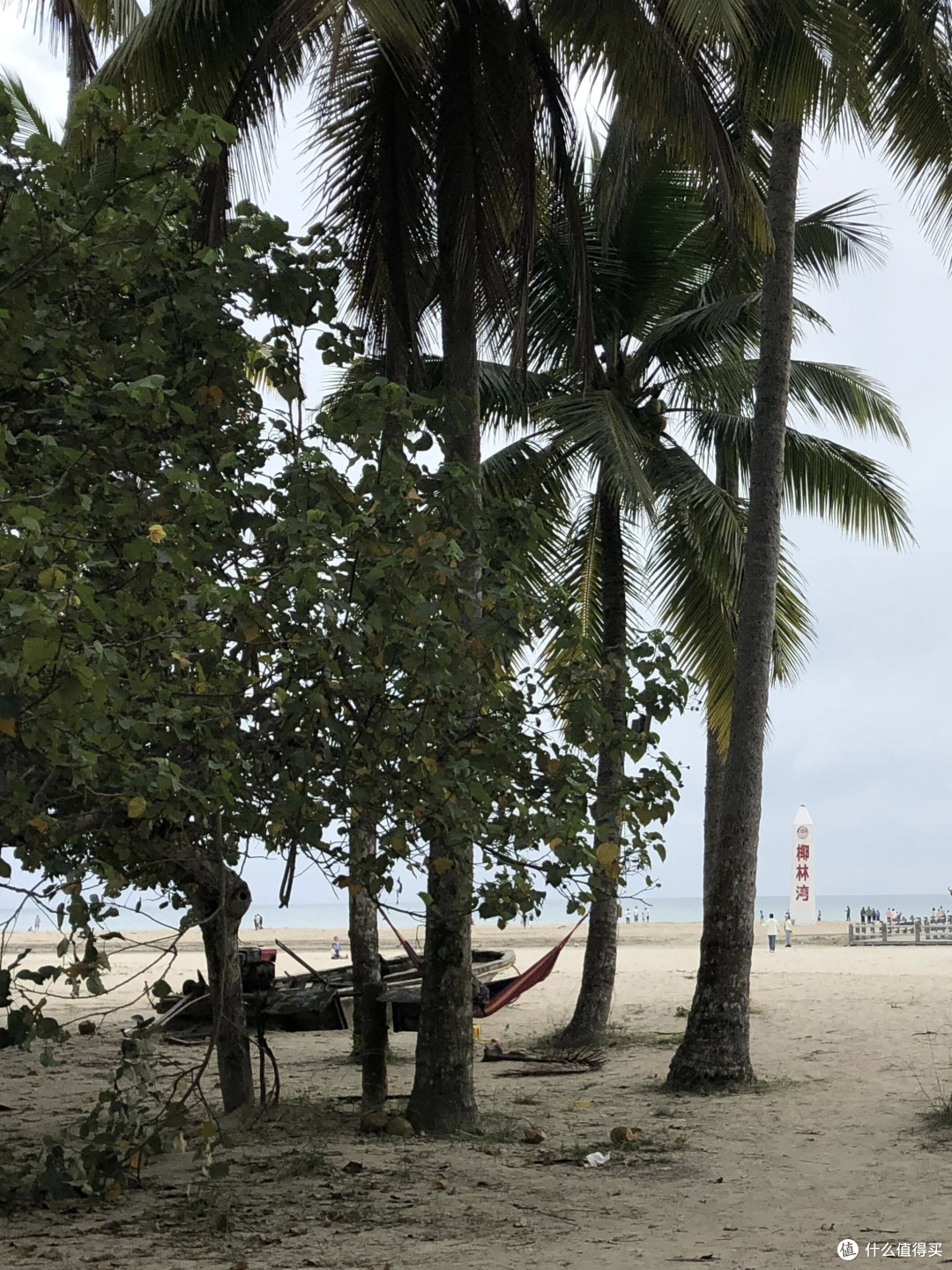 海南封关后游玩分享|免税购物薅羊毛+文昌东郊椰林慢时光
