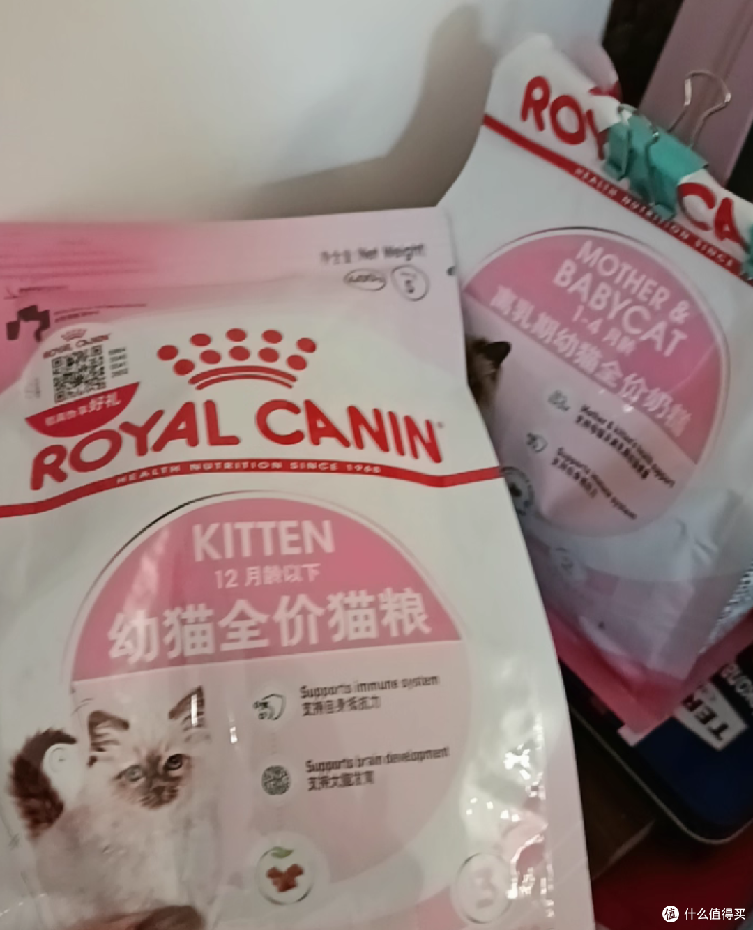 进口幼猫粮有哪些靠谱的牌子推荐?皇家领衔的TOP5选择指南