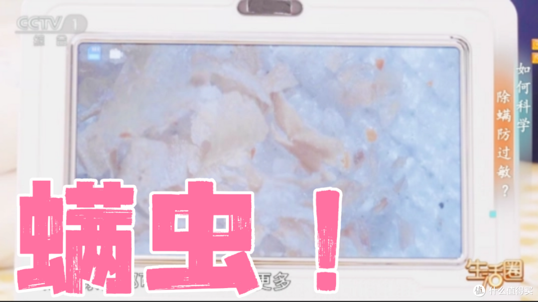 哪个牌子除螨仪是专业除螨的?除螨仪口碑最强十大榜单震撼来袭!