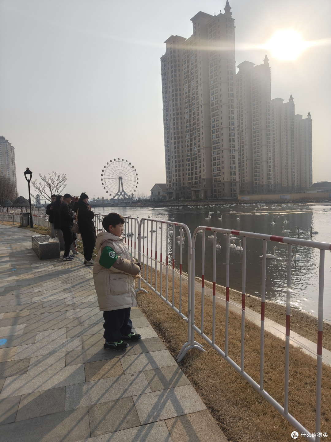 有栏杆，保护天鹅也保护人