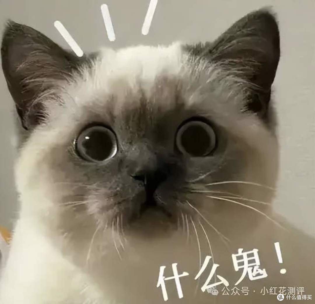 鱼油塑化剂超标？某某评测的检测，有啥「小门道」？