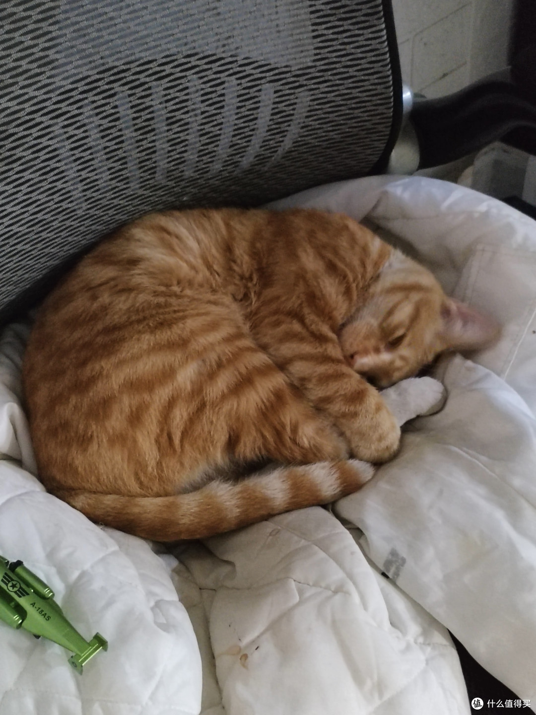 猫咪奇葩睡姿