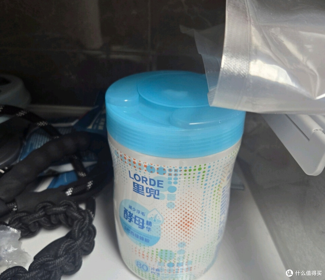Lorde宠物湿巾:温和清洁毛孩子